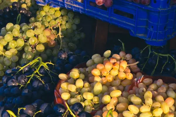 Çolakoğlu Market - Resim 10
