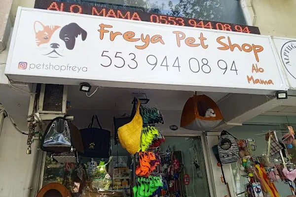 Freya Pet Shop - Resim 20