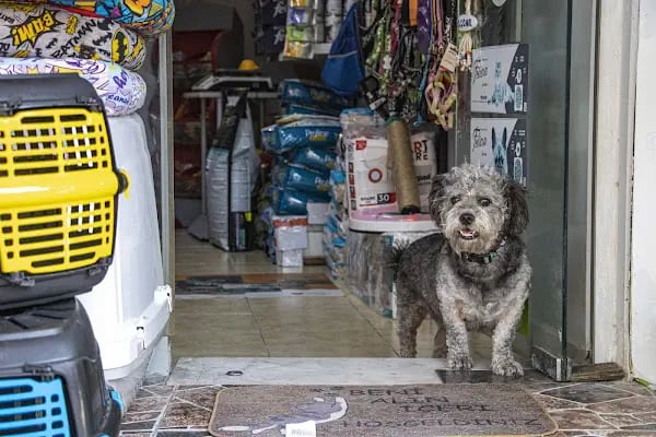 Freya Pet Shop - Resim 12