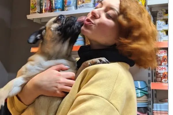 Freya Pet Shop - Resim 9