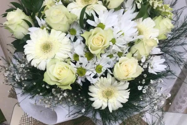 Gizem Çiçekçilik Birecik, Birecikte orkide, birecik çiçekçilik, Birecik cicekciler,Birecik çiçek sepeti, Birecik çiçekçi - Resim 15