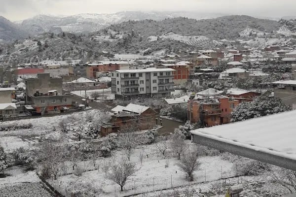 Gözlemeci Büfe - Resim 1