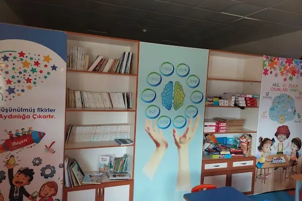 Süheyla Doğu Haydar Çataloğlu İlkokulu - Resim 7