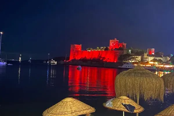Bodrum elektrik jeneratör satış ariza servisi - Resim 16