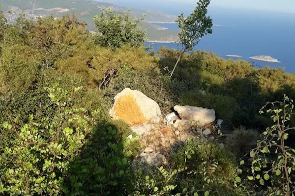 Çelimli Aile Lokantası - Resim 10