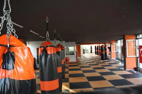 Alanya Muay Thai Academy Gym İnternational - Resim 14