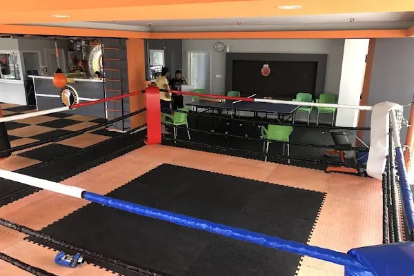 Alanya Muay Thai Academy Gym İnternational - Resim 3