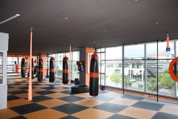 Alanya Muay Thai Academy Gym İnternational - Resim 16