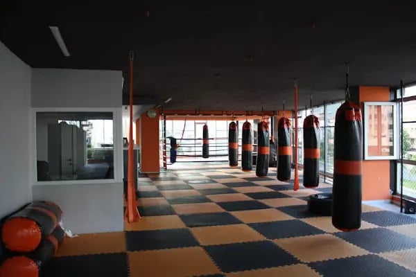Alanya Muay Thai Academy Gym İnternational - Resim 1