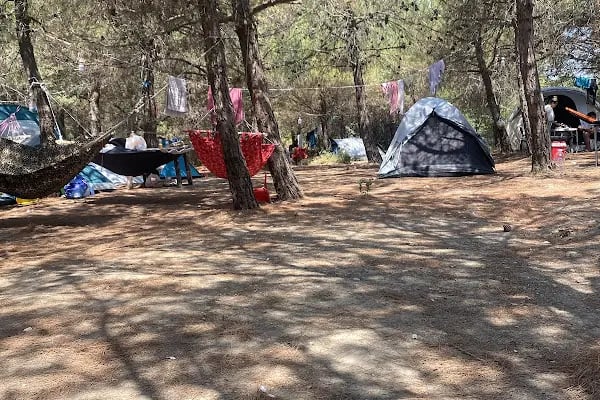 Altunhan Beach kamp alanı - Resim 17