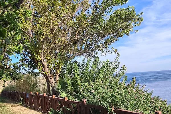 Antalya Lara Tenis Kulübü - Resim 14