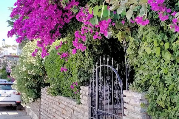 Bağla Sitesi (BAĞLA KOYU EVLERİ) - Resim 2