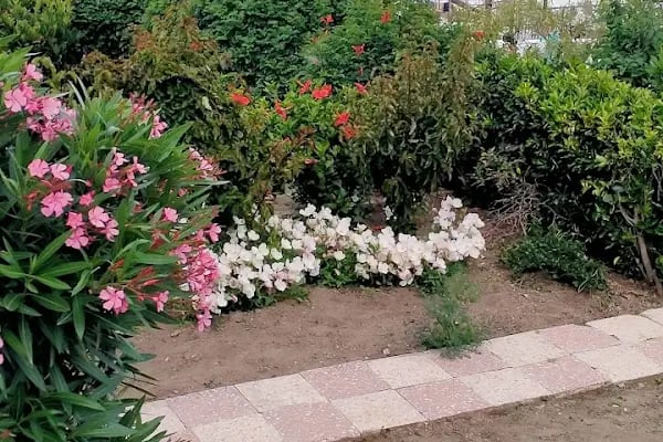 Bağla Sitesi (BAĞLA KOYU EVLERİ) - Resim 11