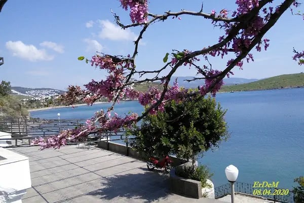 Bağla Sitesi (BAĞLA KOYU EVLERİ) - Resim 15