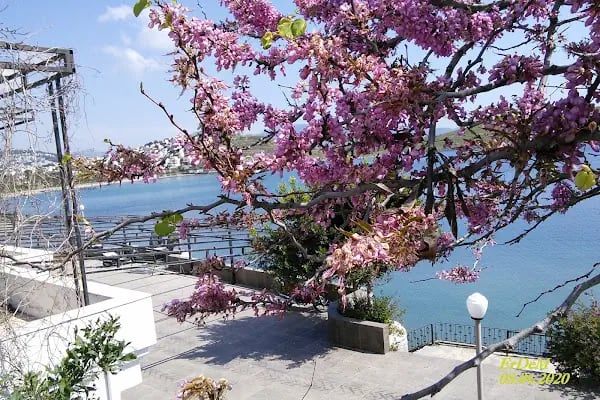 Bağla Sitesi (BAĞLA KOYU EVLERİ) - Resim 3