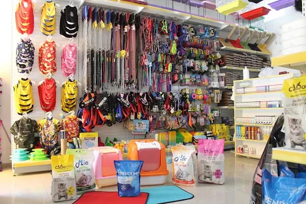 Tweety petshop huzurevleri - Resim 10