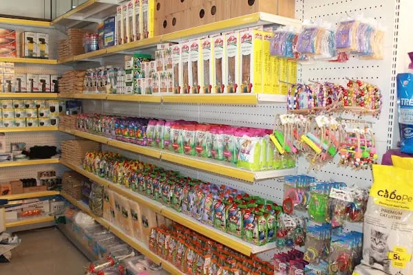 Tweety petshop huzurevleri - Resim 20