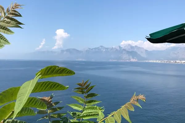 Ali Bıçak - Antalya Psikolog, Antalya Hipnoz, Antalya Psikoloji Enstitüsü - Resim 13