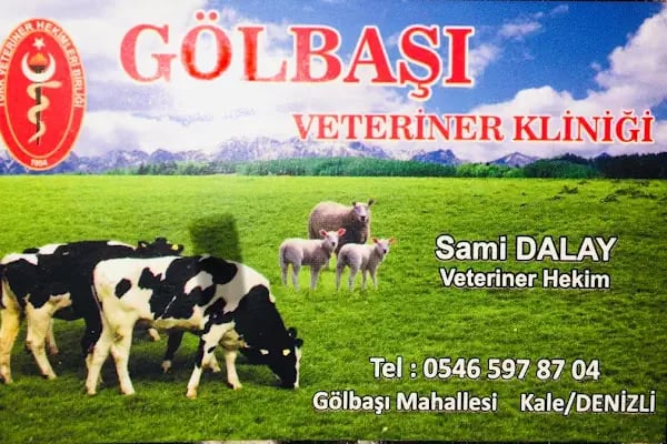 Gölbaşı Veteriner Kliniği - Resim 2
