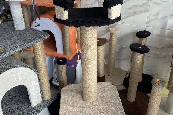 Balçova Kerem Petshop - Resim 13