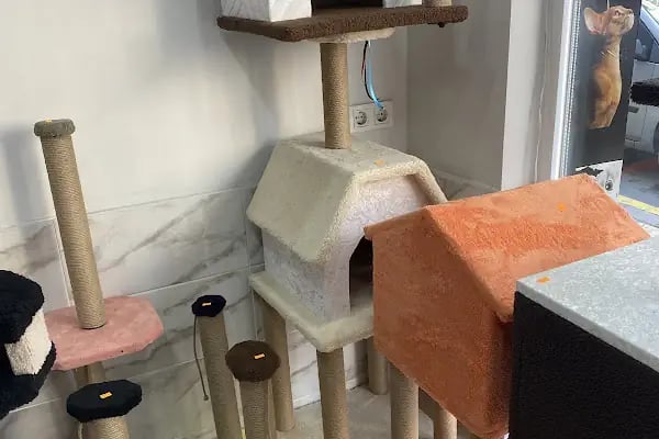 Balçova Kerem Petshop - Resim 19