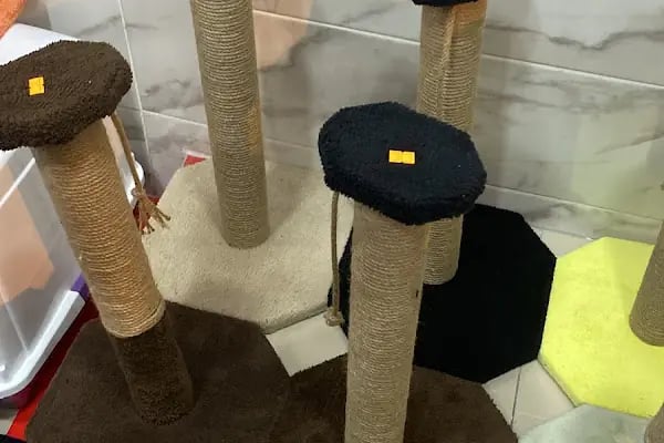 Balçova Kerem Petshop - Resim 9