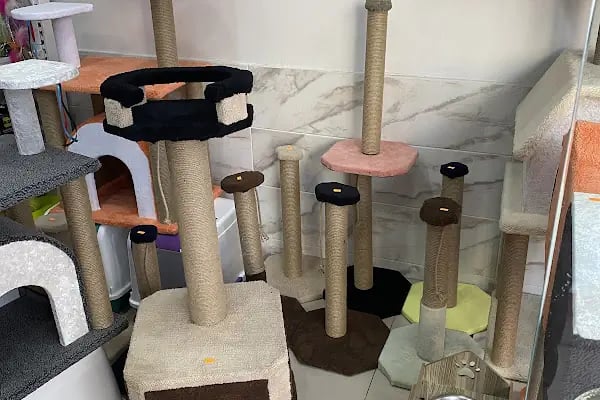 Balçova Kerem Petshop - Resim 10