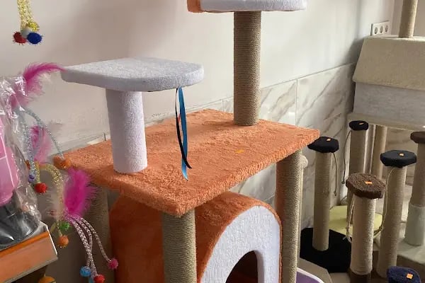 Balçova Kerem Petshop - Resim 7