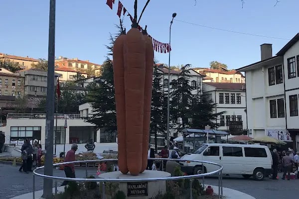 Havuç Heykeli - Resim 8