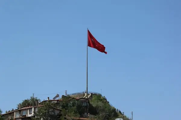Havuç Heykeli - Resim 9