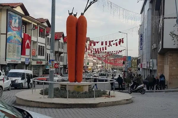 Havuç Heykeli - Resim 13