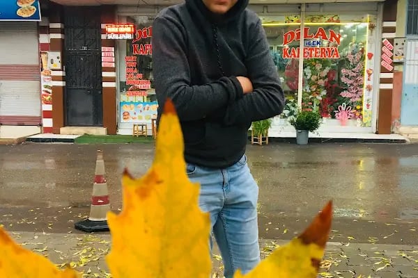 DİLAN ÇİÇEKÇİLİK - Resim 8