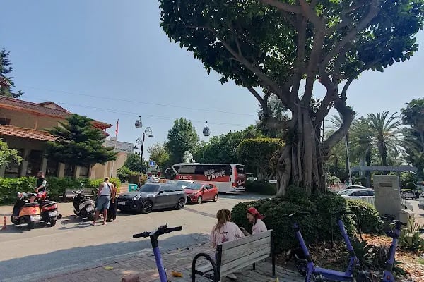 Pak Rent A Car Alanya - Resim 3