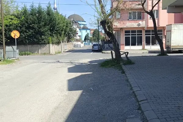 Yazlık Mahallesi Cami - Resim 2