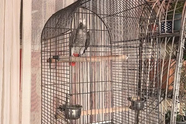 Alanya Nesil İletişim - Telefon Aksesuar ve Telefon Tamiri - Resim 3