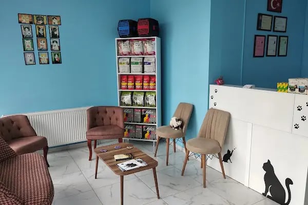 Konya Venüs Veteriner Kliniği - Resim 20