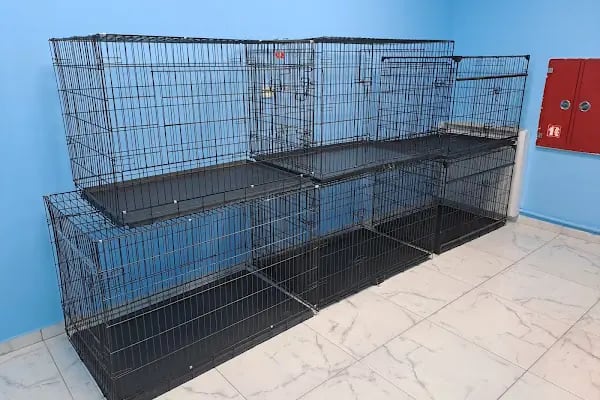 Konya Venüs Veteriner Kliniği - Resim 5