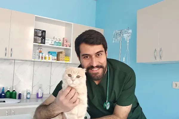 Konya Venüs Veteriner Kliniği - Resim 4