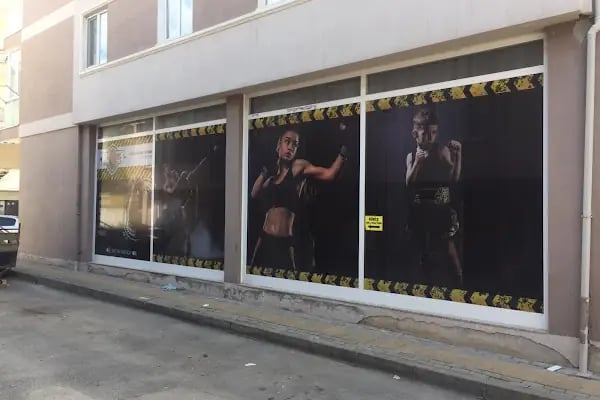 Gemlik Dinamik Spor Kulübü - Resim 3