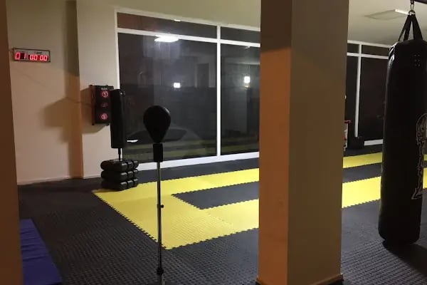 Gemlik Dinamik Spor Kulübü - Resim 2