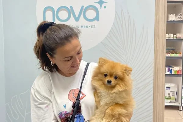 NOVA VETERİNER POLİKLİNİĞİ - Resim 5