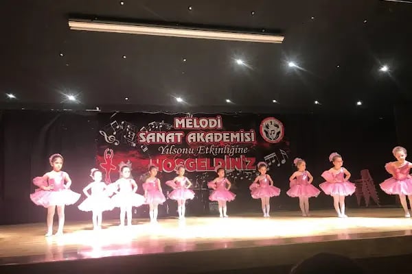 Melodi Sanat Akademisi - Resim 12
