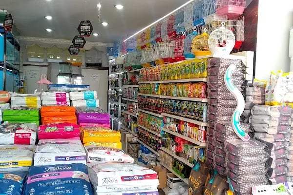 EKO AKVARYUM PETSHOP - Resim 13
