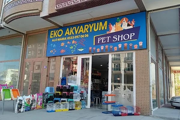 EKO AKVARYUM PETSHOP - Resim 7