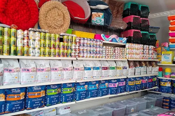 EKO AKVARYUM PETSHOP - Resim 8