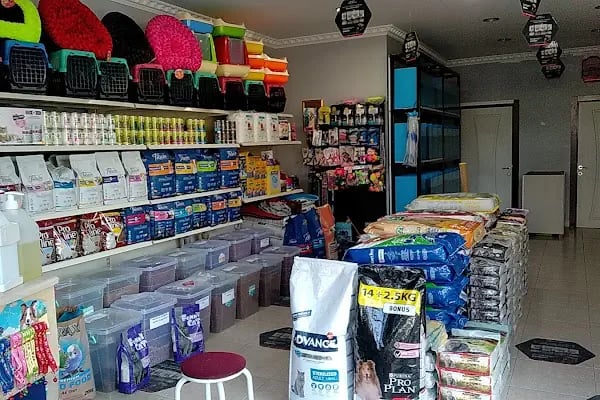 EKO AKVARYUM PETSHOP - Resim 10