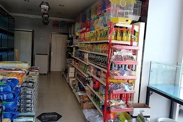 EKO AKVARYUM PETSHOP - Resim 6