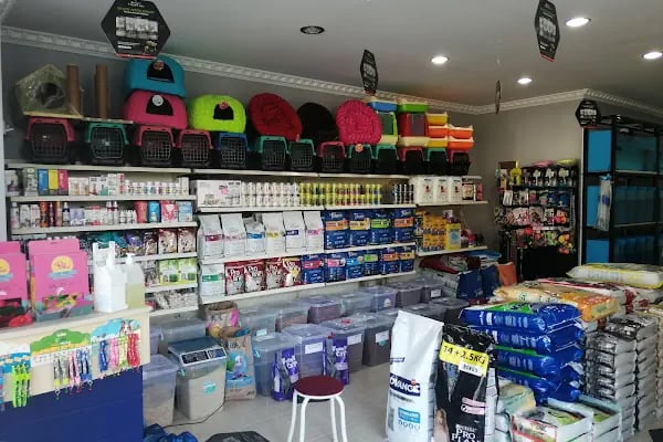 EKO AKVARYUM PETSHOP - Resim 2