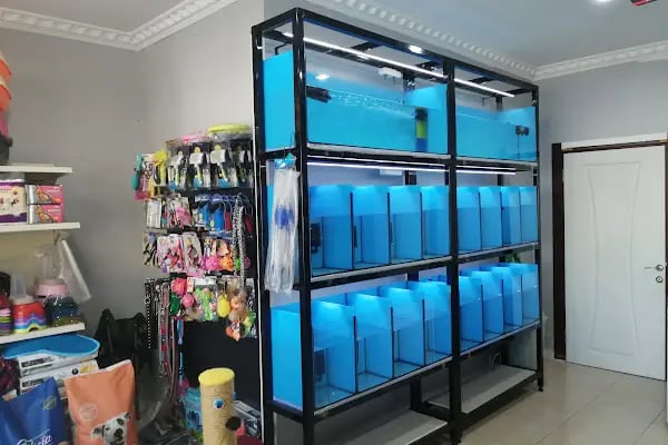 EKO AKVARYUM PETSHOP - Resim 12
