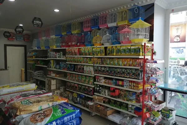 EKO AKVARYUM PETSHOP - Resim 4
